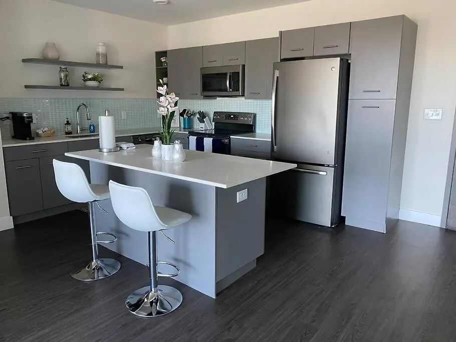 Stunning Apt With Skyline Views High Rise Apartment Tampa